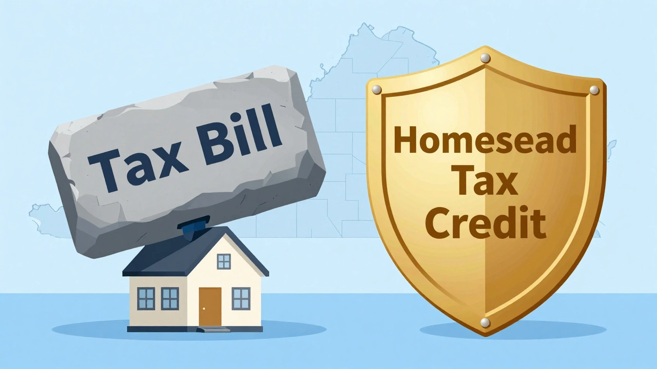 Illustration showing Homestead Tax Credit lifting the weight of taxes