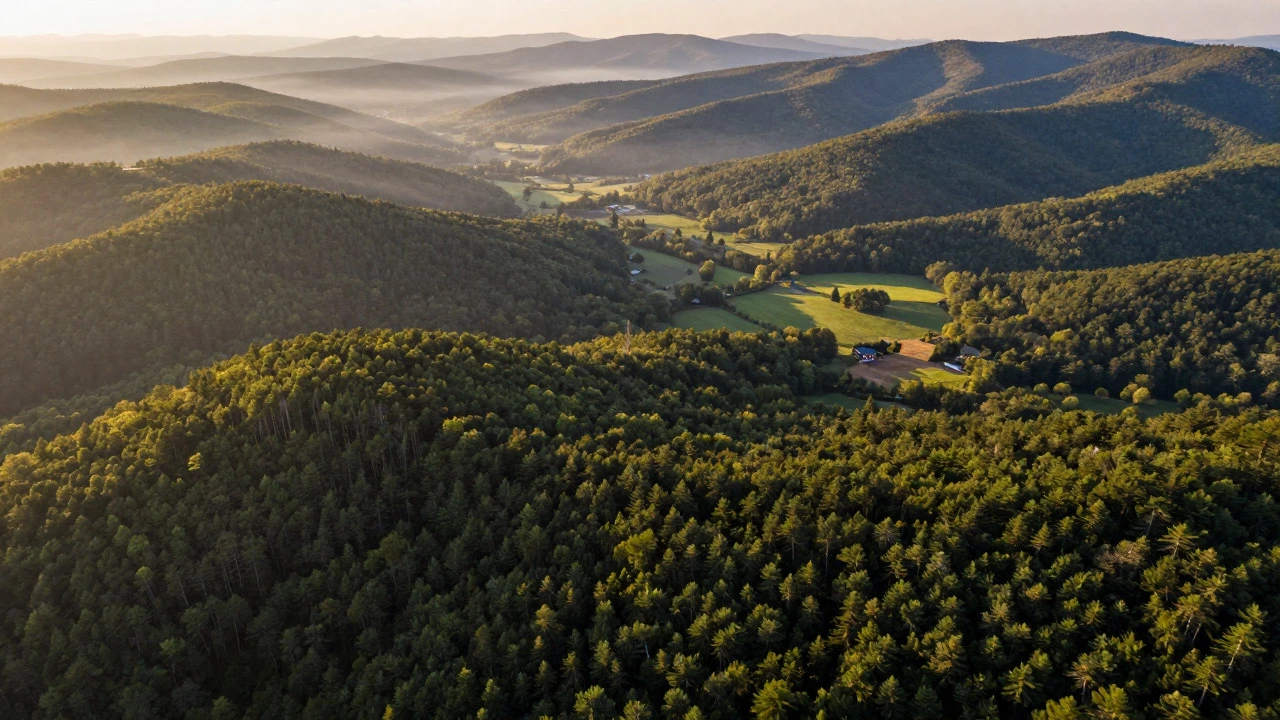 Who Owns the Most Land in West Virginia? A Breakdown of Private, State, and Federal Holdings